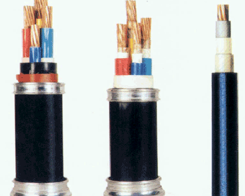 �c���鿴�����DƬ